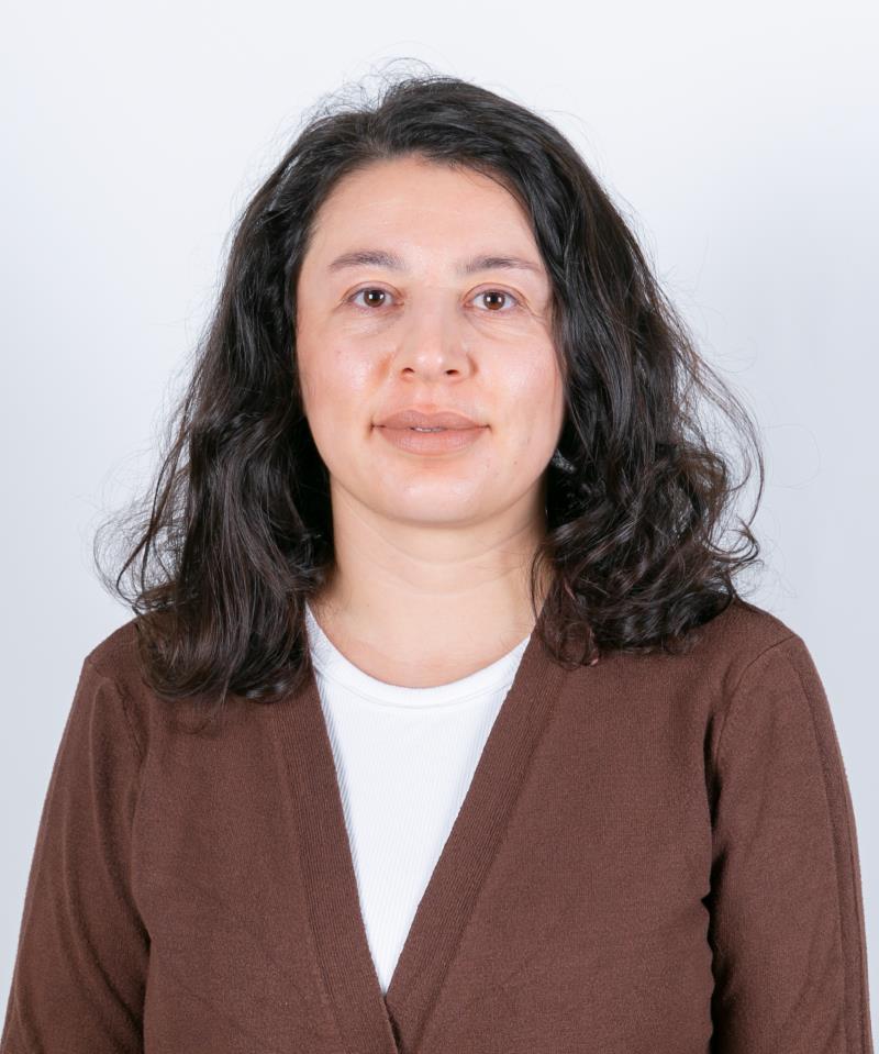 Ayşe Dilek YEKELER GÖKMEN