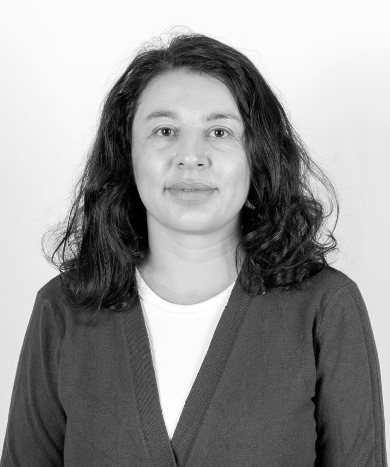 Ayşe Dilek YEKELER GÖKMEN